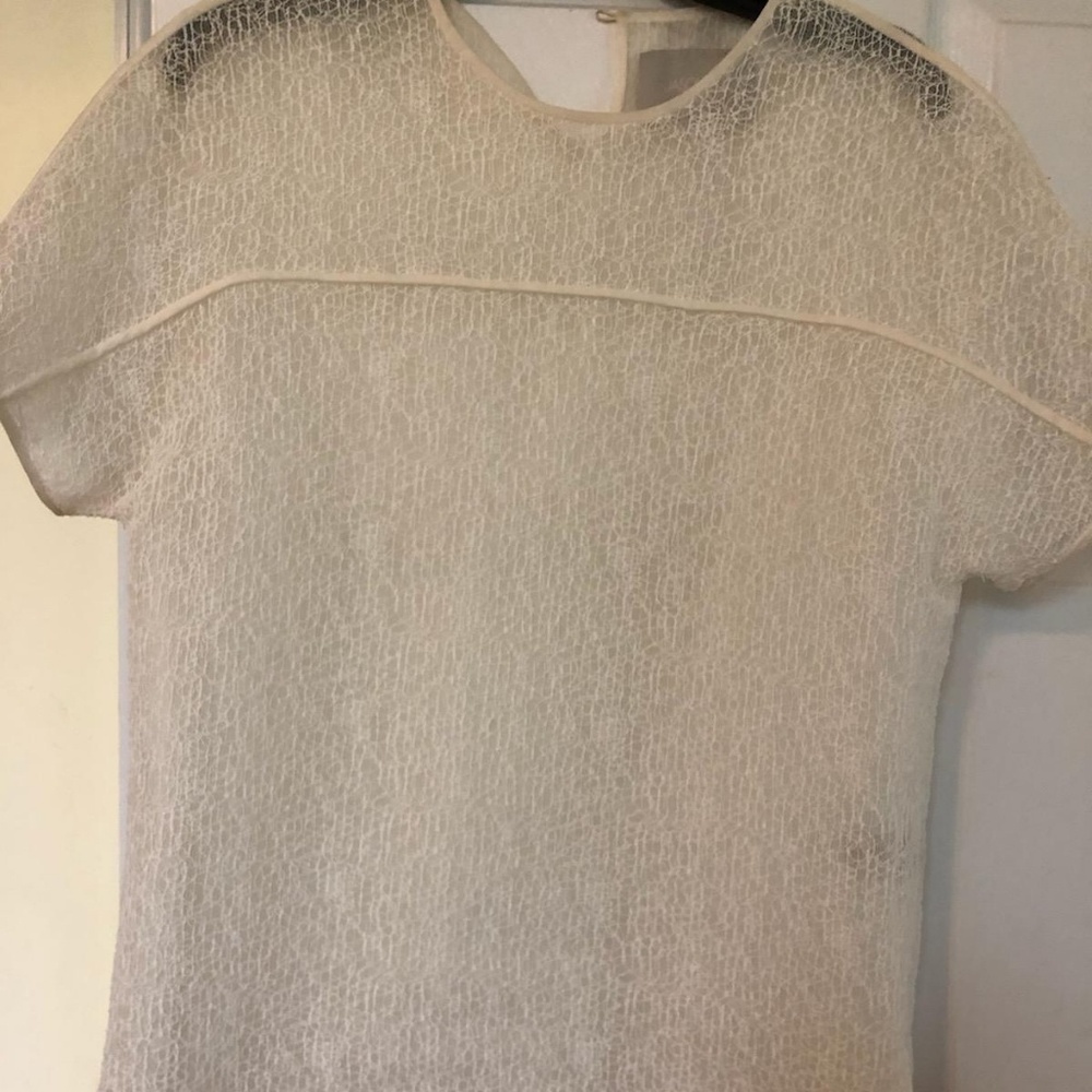 Jason William's Sheer Top